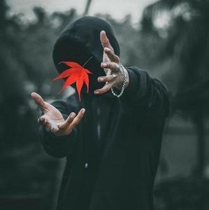 Meet your Posher, Alex